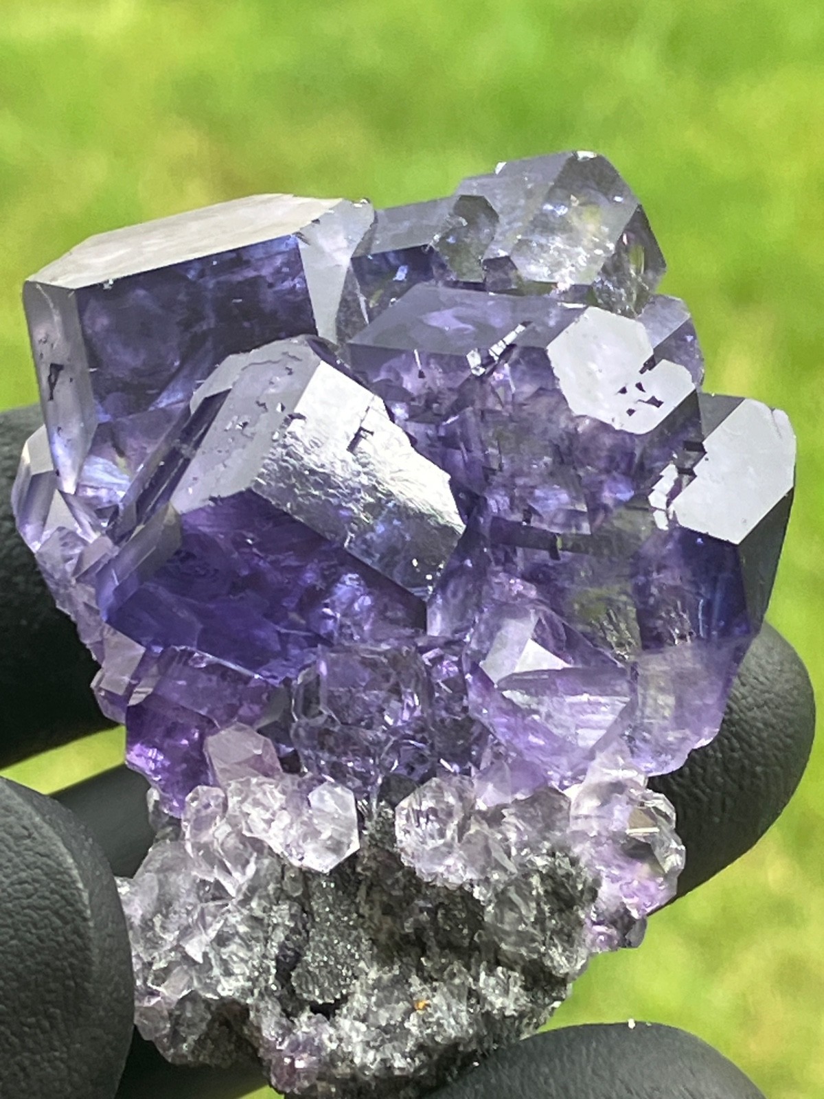 “Tanzanite” Fluorite gemmy lustrous large crystals XiaYang Mine Fujian China