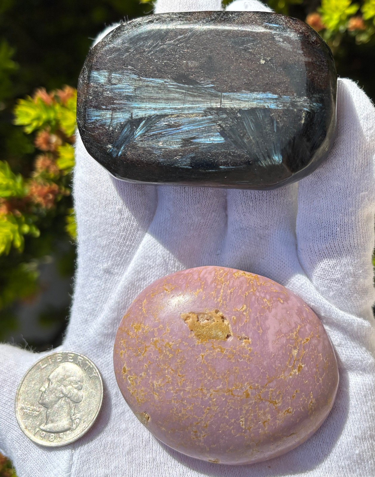 LOT PHOSPHOSIDERITE & ARFVEDSONITE Antho phyllite PALMSTONES PALM STONE FLASH