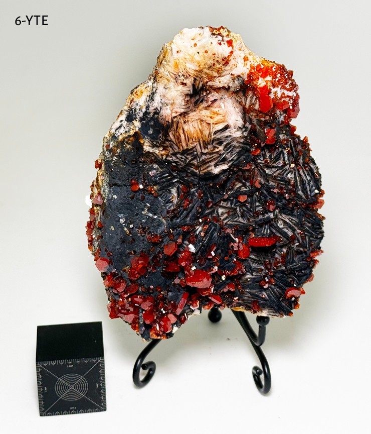 Vanadinite Museum Grade Specimen Large 1.19lb! – US Seller! See insane video! @
