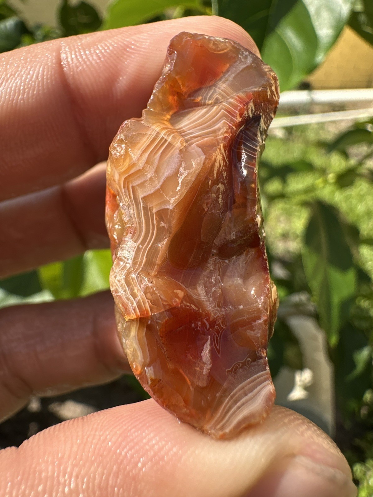 3.90 oz Lake Superior Agate Lapidary Lot 5 Multicolor Beauty’s