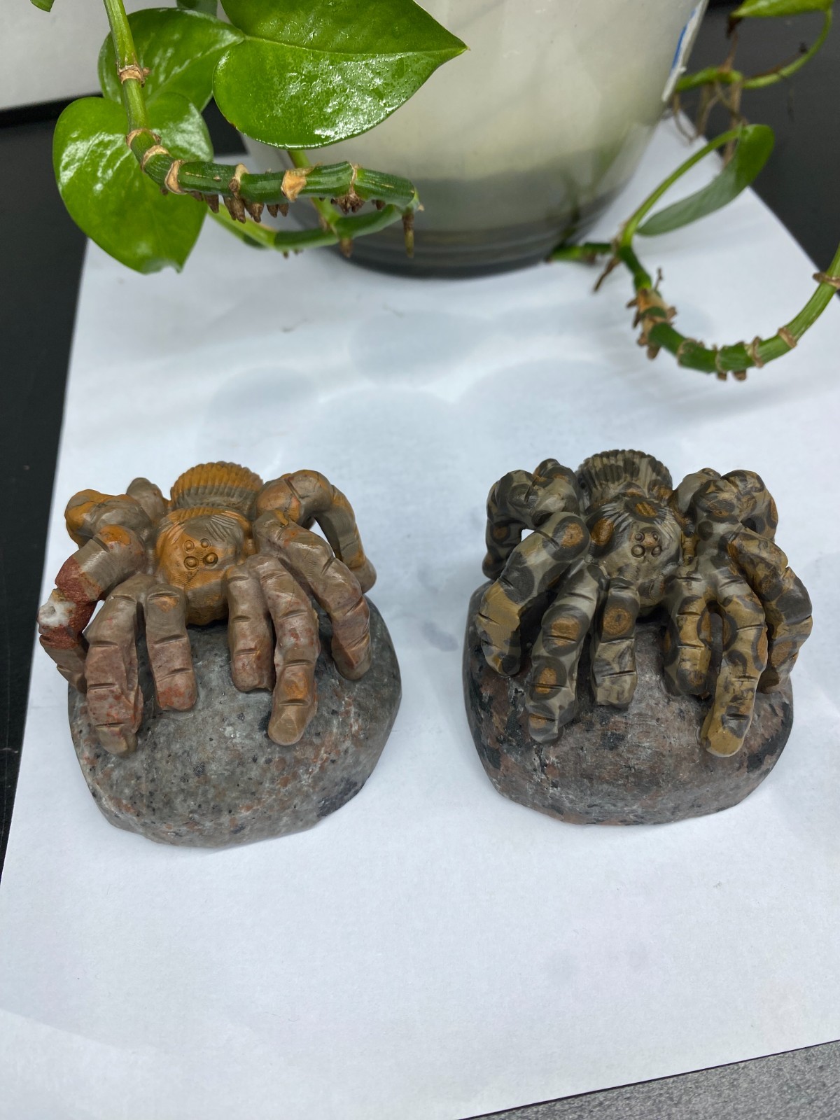 1pc Natural Moneystone Quartz Carved spider skull Crystal reiki healing Decor