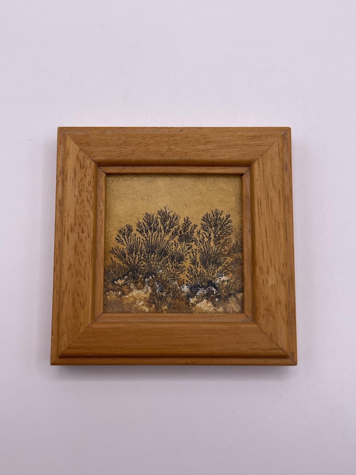 Dendrites from Solnhofen Germany for Display Mini Picture Hanging ****
