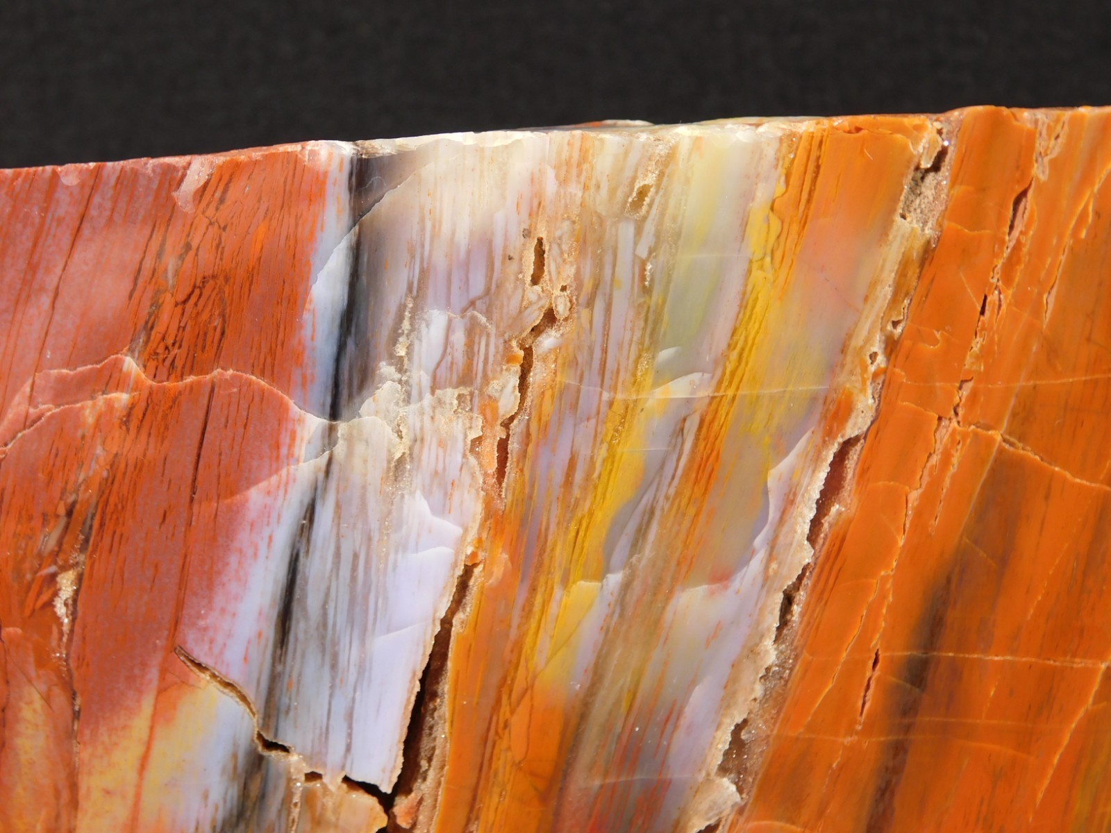 Big Free Standing Polished Deep RED Petrified RAINBOW WOOD Fossil Arizona 1791gr