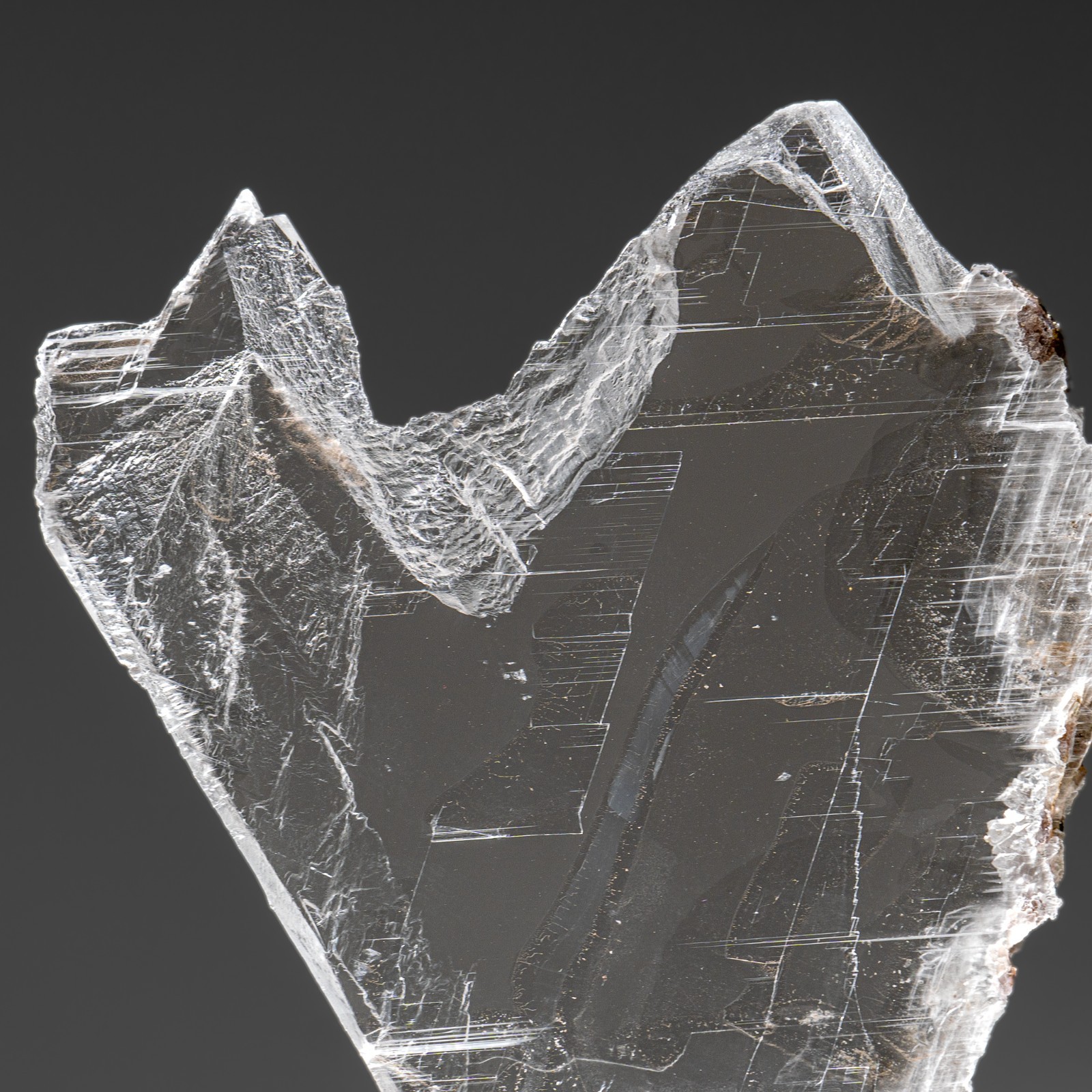 Gypsum Var. Selenite on Matrix from Rio Grande do Sul, Brazil (4.2 lbs)