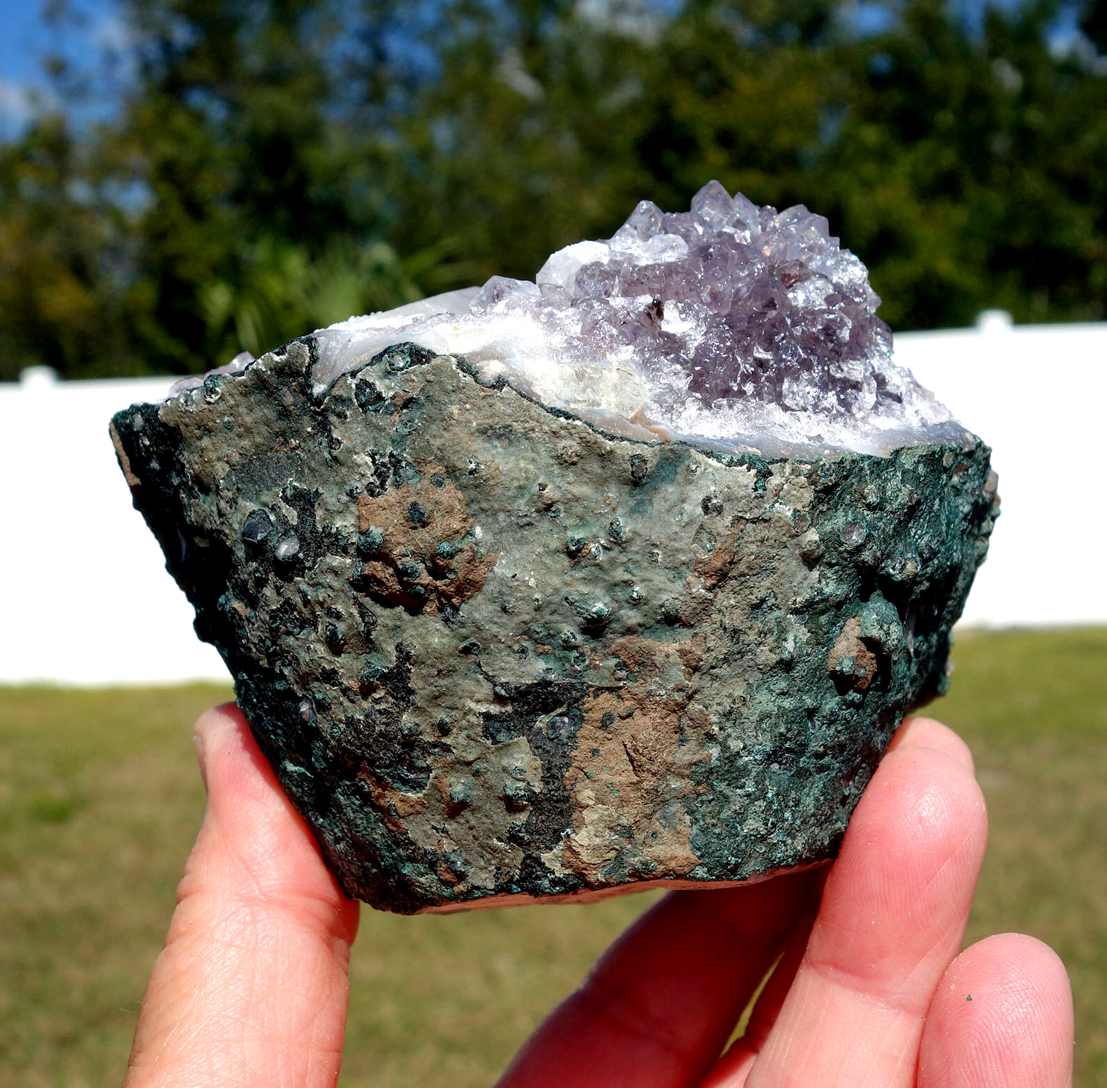 White DOGTOOTH Calcite in AMETHYST Crystal Point Stalactite Quartz Cluster