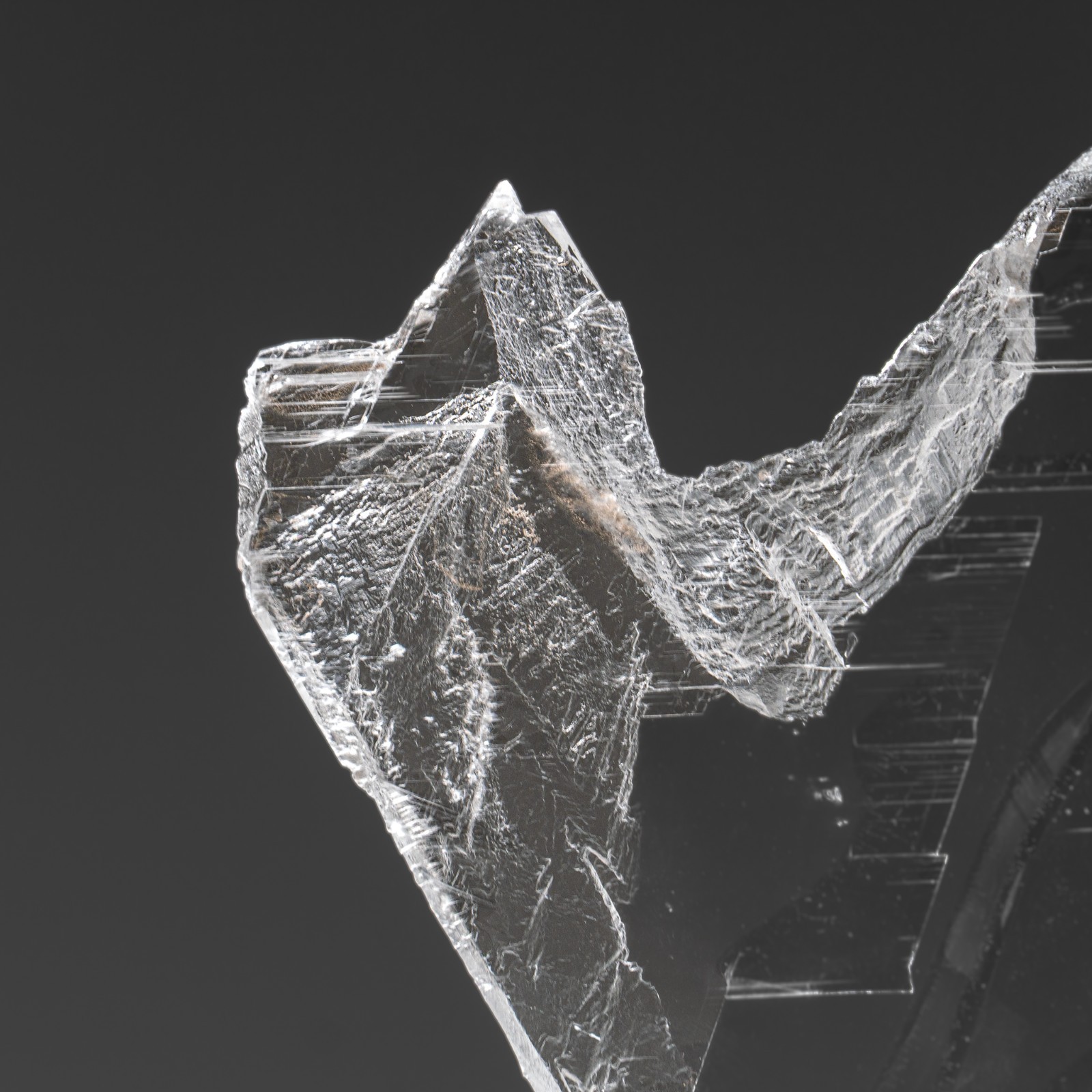Gypsum Var. Selenite on Matrix from Rio Grande do Sul, Brazil (4.2 lbs)