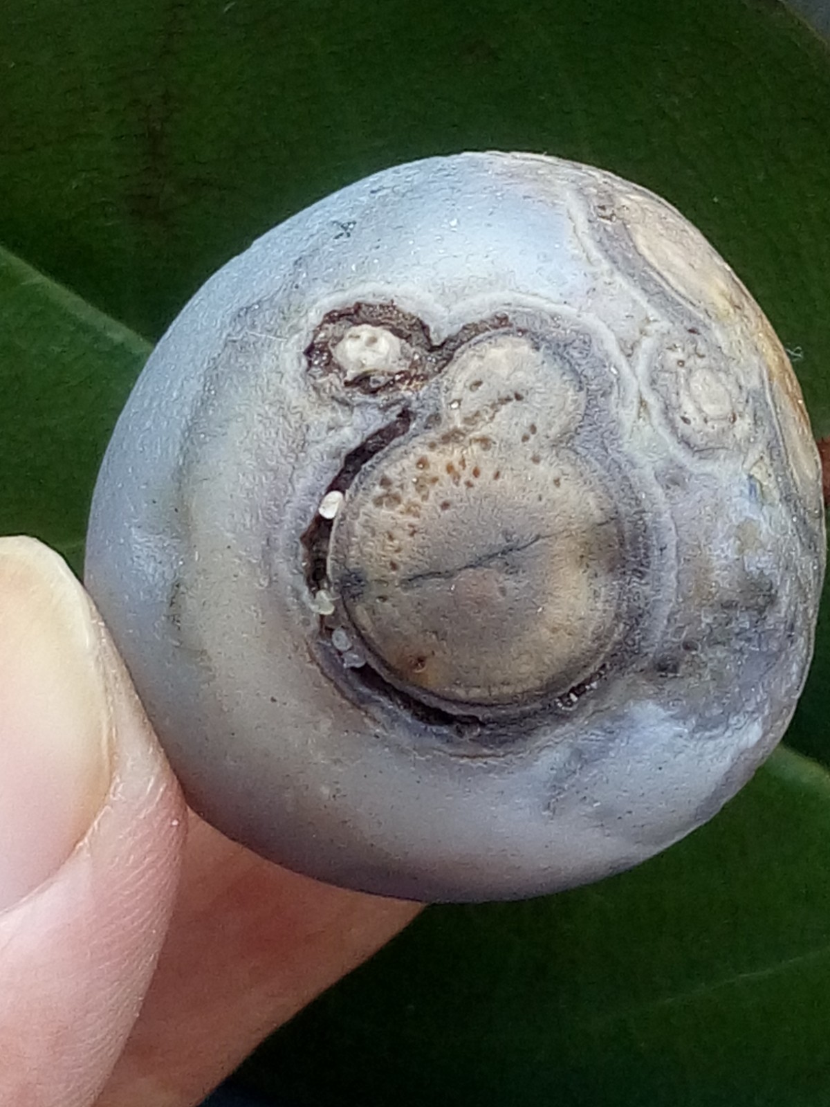 36mm Natural agate Gobi agate eye agate stone collection Landscape stone