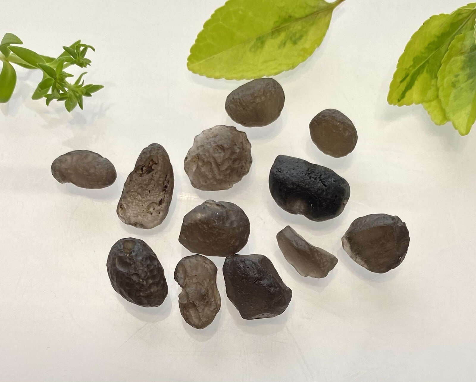 Wholesale Lot Natural Colombianite Colombian Tektite 40 Gram 16 To 24 PCs