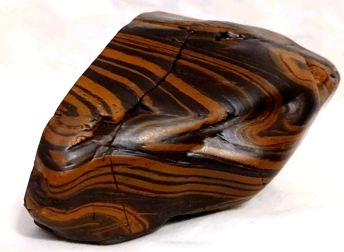 Rare Wyoming Banded Iron Formation BIF Display Rock Cut & Polished Display Tiger