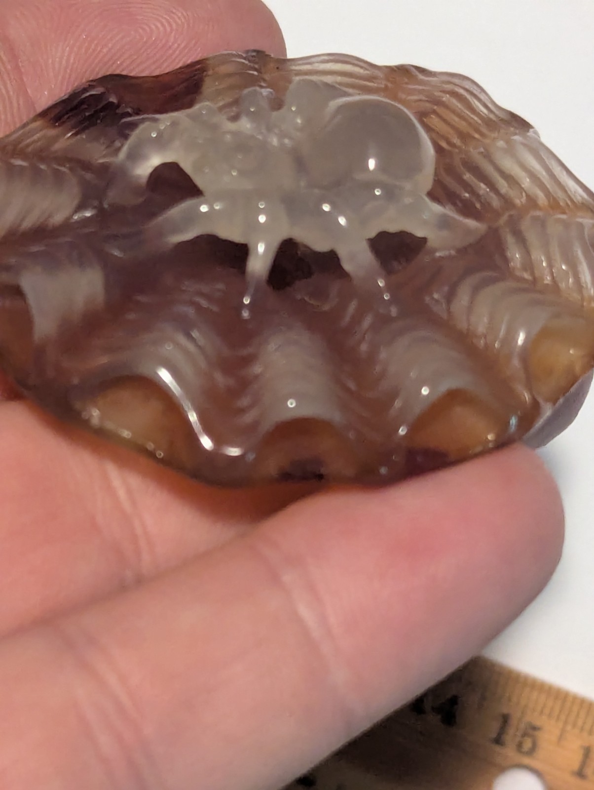 Spider On Web Carnelian Agate Stone Crystal Carving
