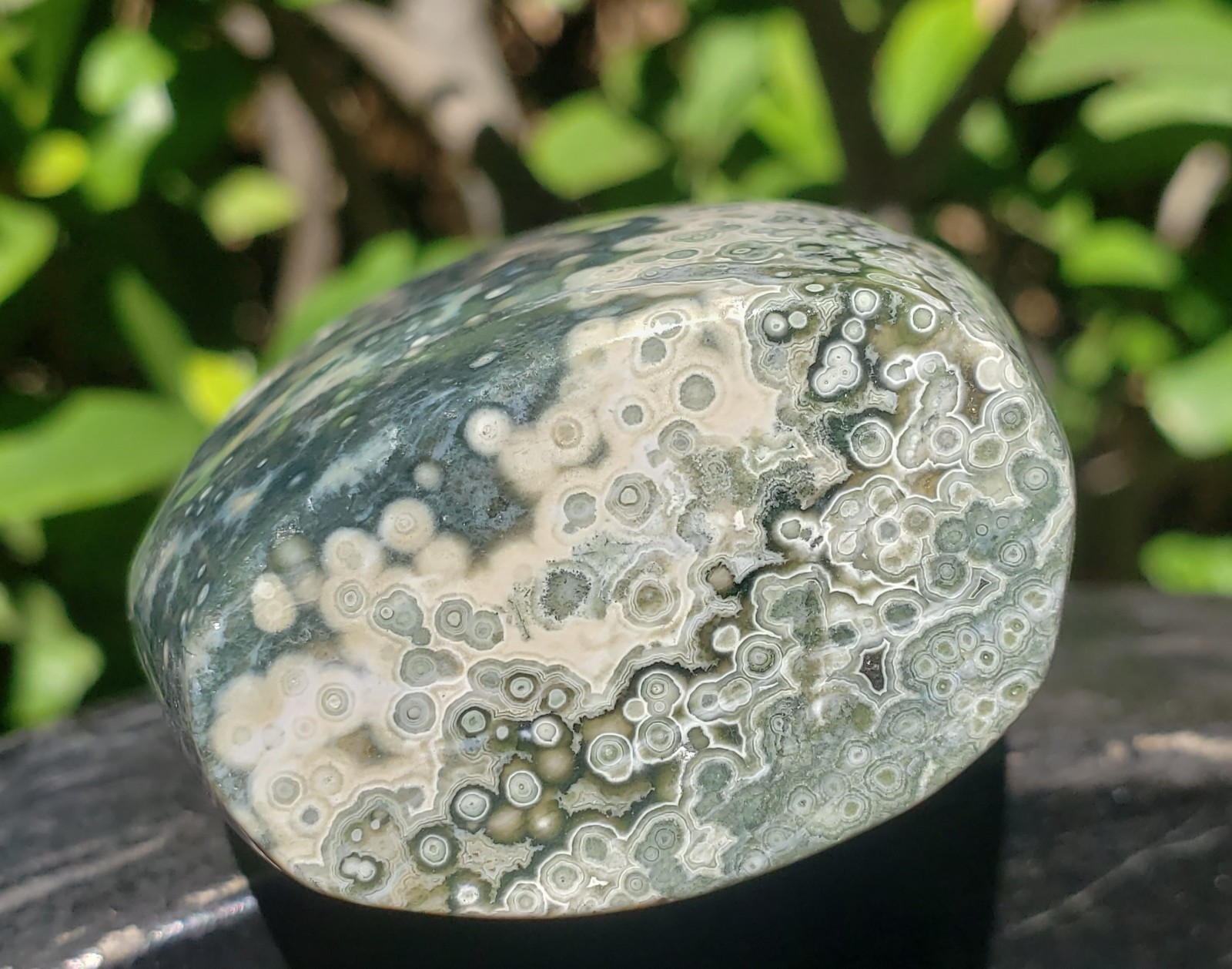 3.75″ Natural 8th Vein Orbicular Ocean Jasper Crystal Quartz UV Tear Free Form