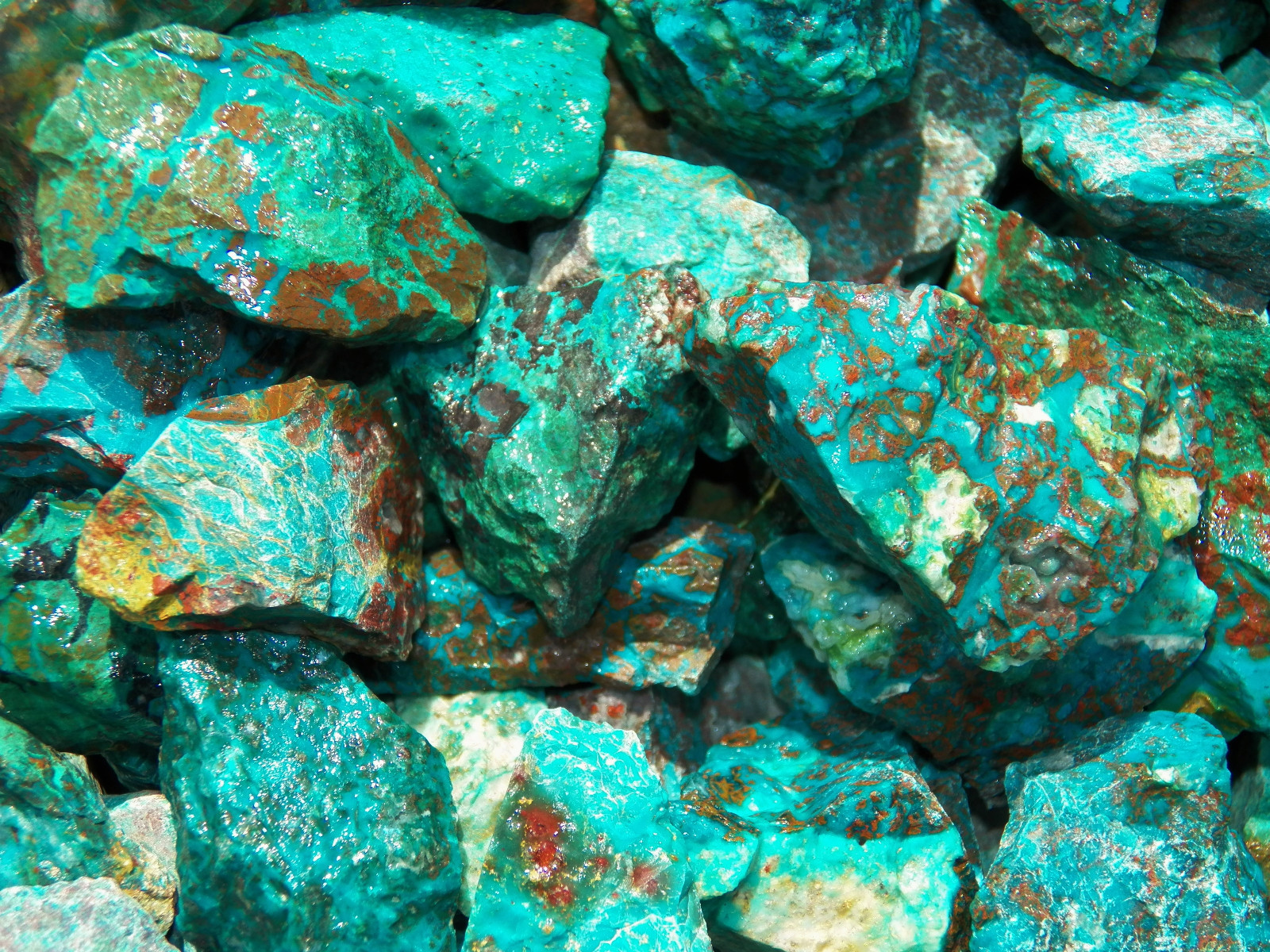 3000 Carat Lots of Chrysocolla & Turquoise Rough – Plus a FREE Faceted Gemstone