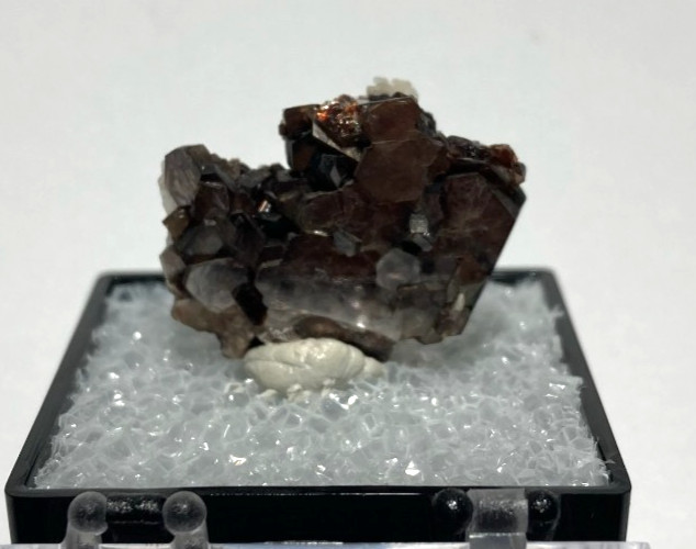 Muscovite and Albite Thumbnail from Brazil