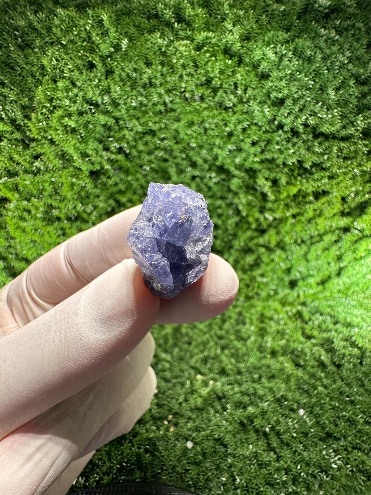 Lovely TANZANITE Crystal with COLOR CHANGE under yellow/white light / N759