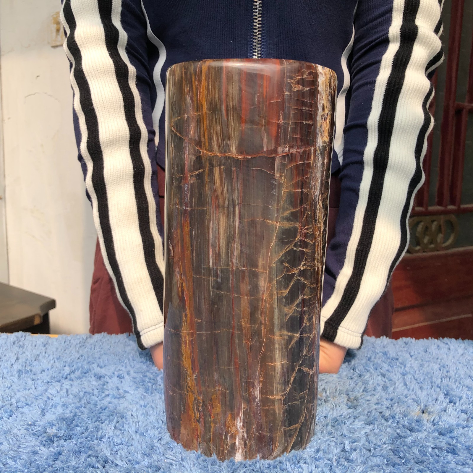 16.3LB Natural wood fossil quartz crystal mineral specimens healing