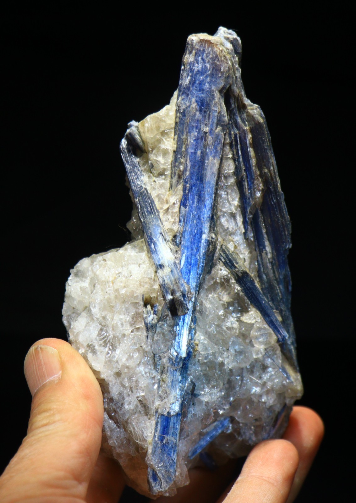 5.25″ 1 lb Deep Blue KYANITE Crystal Blade, Brazil! KY104