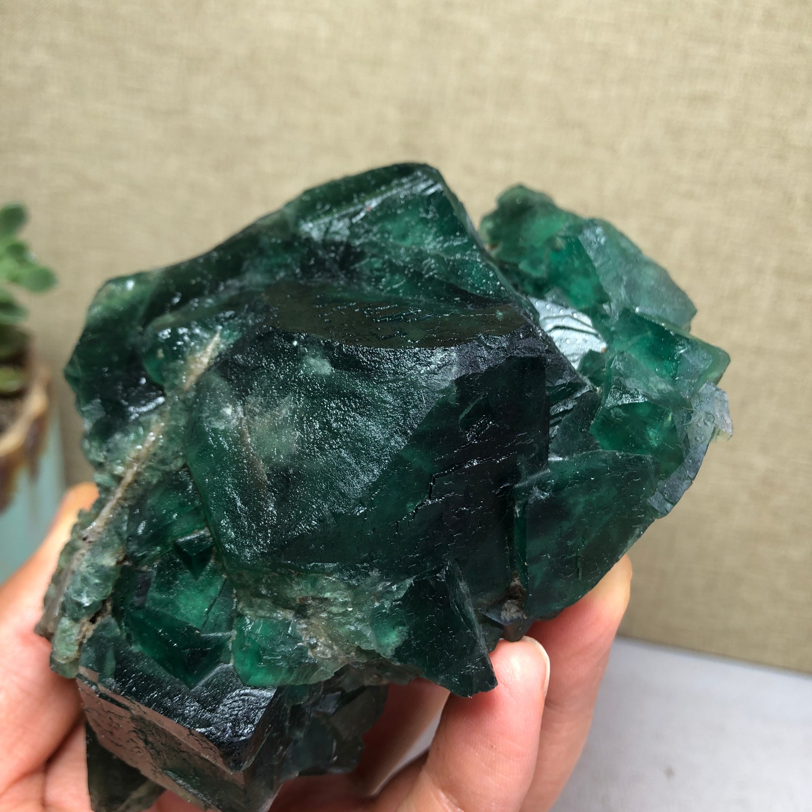681g NATURAL Green Cubic FLUORITE Crystal Cluster Mineral Specimen A4721