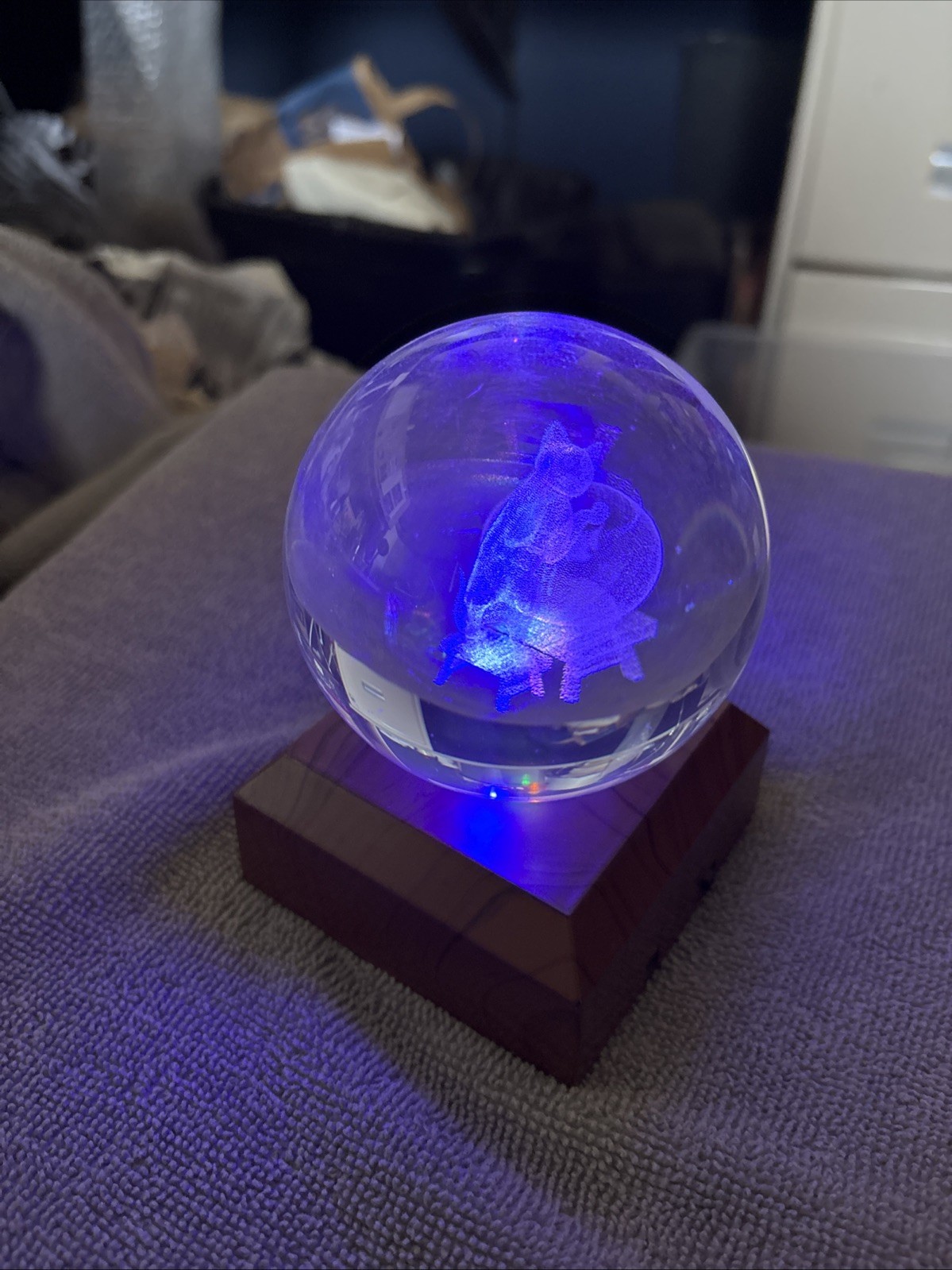 Crystal 3D Etched Cat Glass Orb With Light Stand