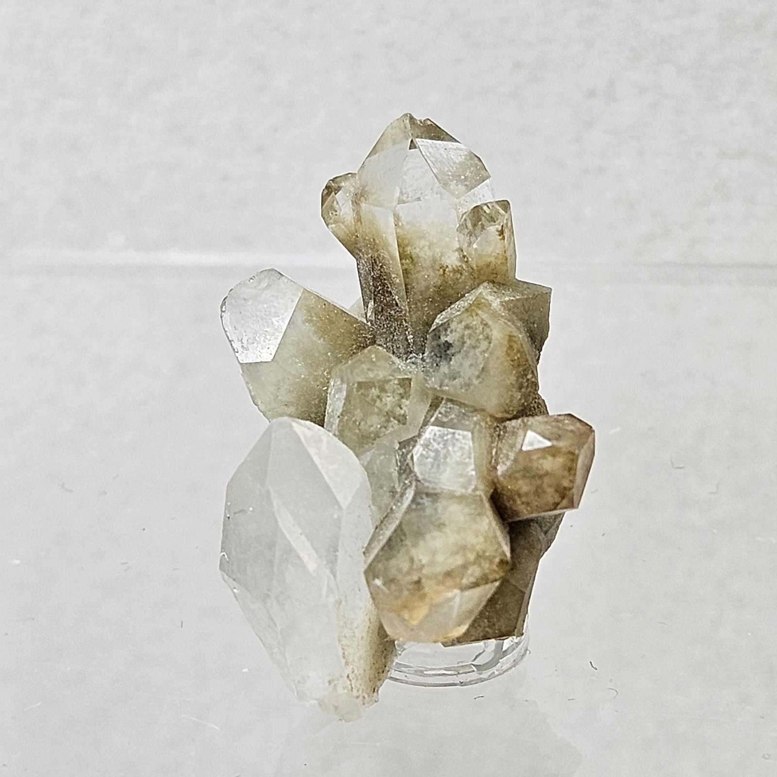 Natural Green Chlorite Included Quartz Cluster Specimen Garden Quartz U.S Seller
