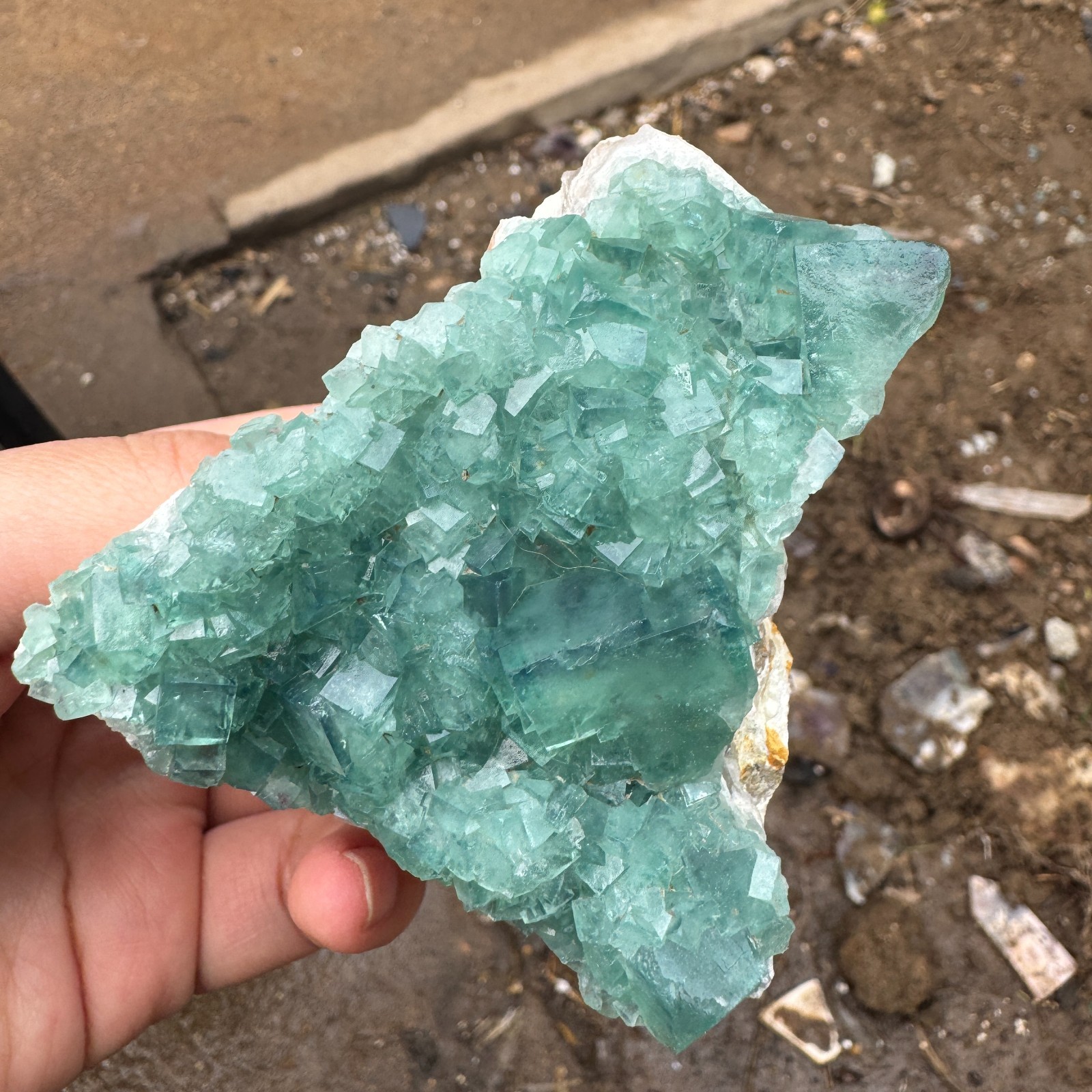 340G Natural cubic green fluorite crystal cluster rough mineral specimen Healing