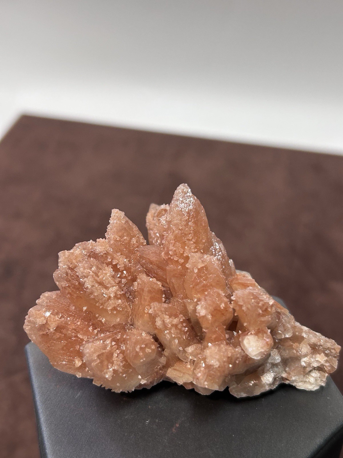 Peachy Salmon Orange Calcite on Calcite Santa Eulalia Mexico Joseph Simon