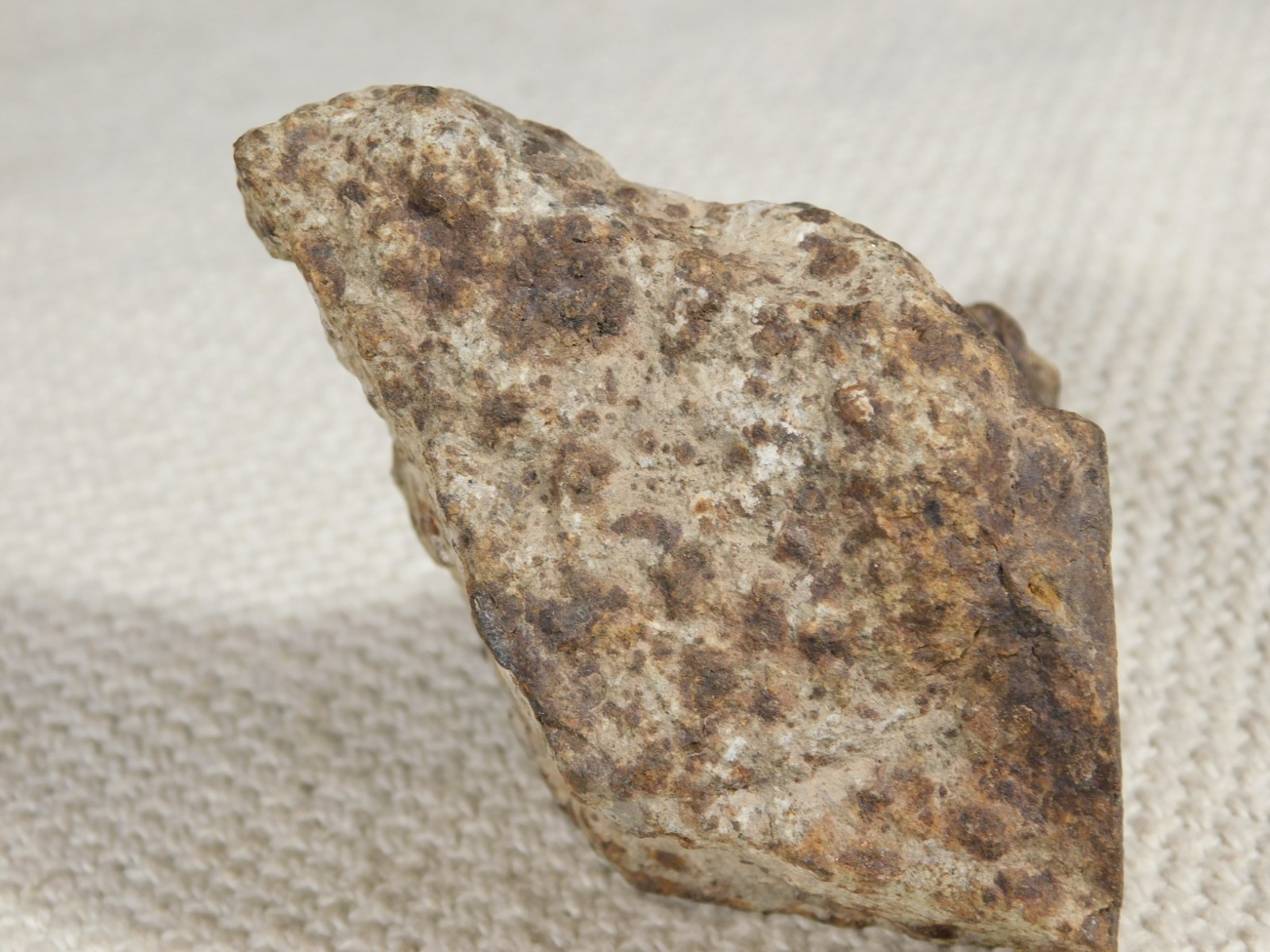 Larger! Classified NWA 8245 METEORITE 100% Natural! Erfoud, Morocco 223gr