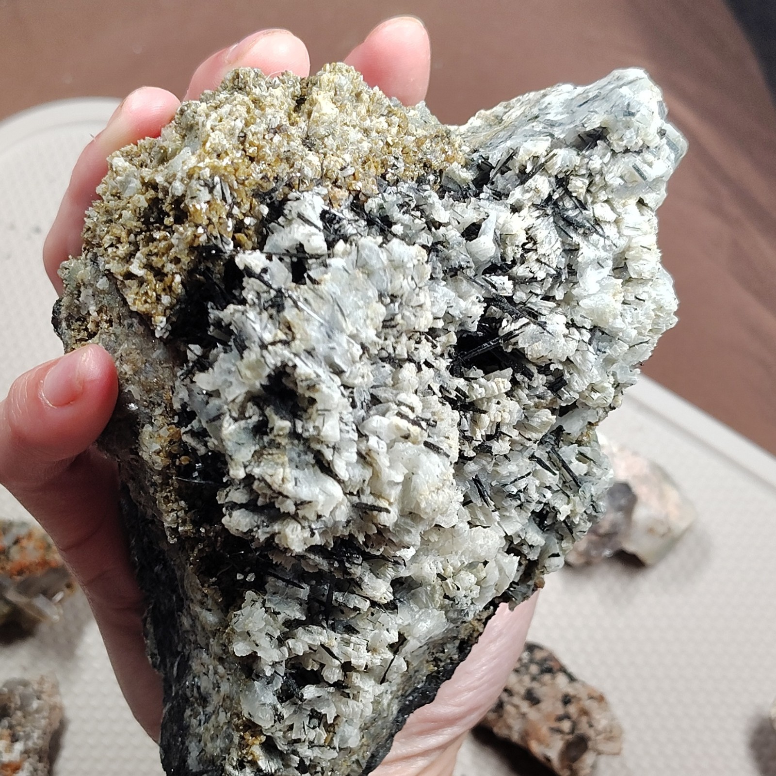 7″ Large Cabinet TITANITE SPHENE & HESSONITE GARNET Pak