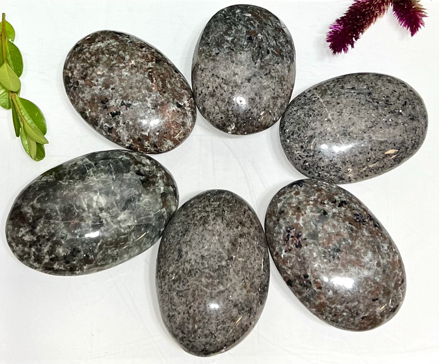 Wholesale Lot 6-8PCs Natural Emberlite Aka Yooperlite Palm Stone Crystal Healing