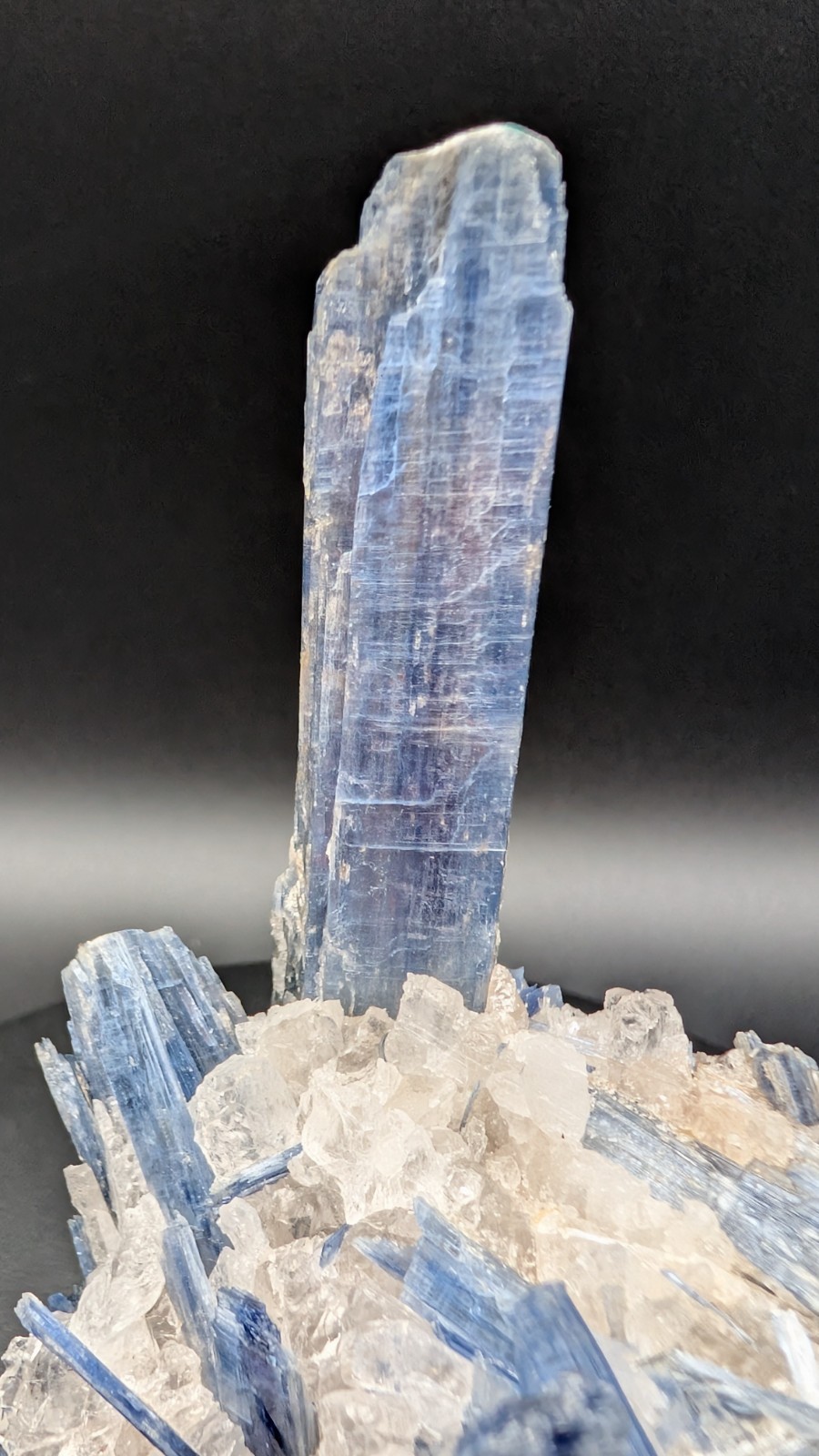 Kyanite, Quartz – Minas Gerais, Brazil