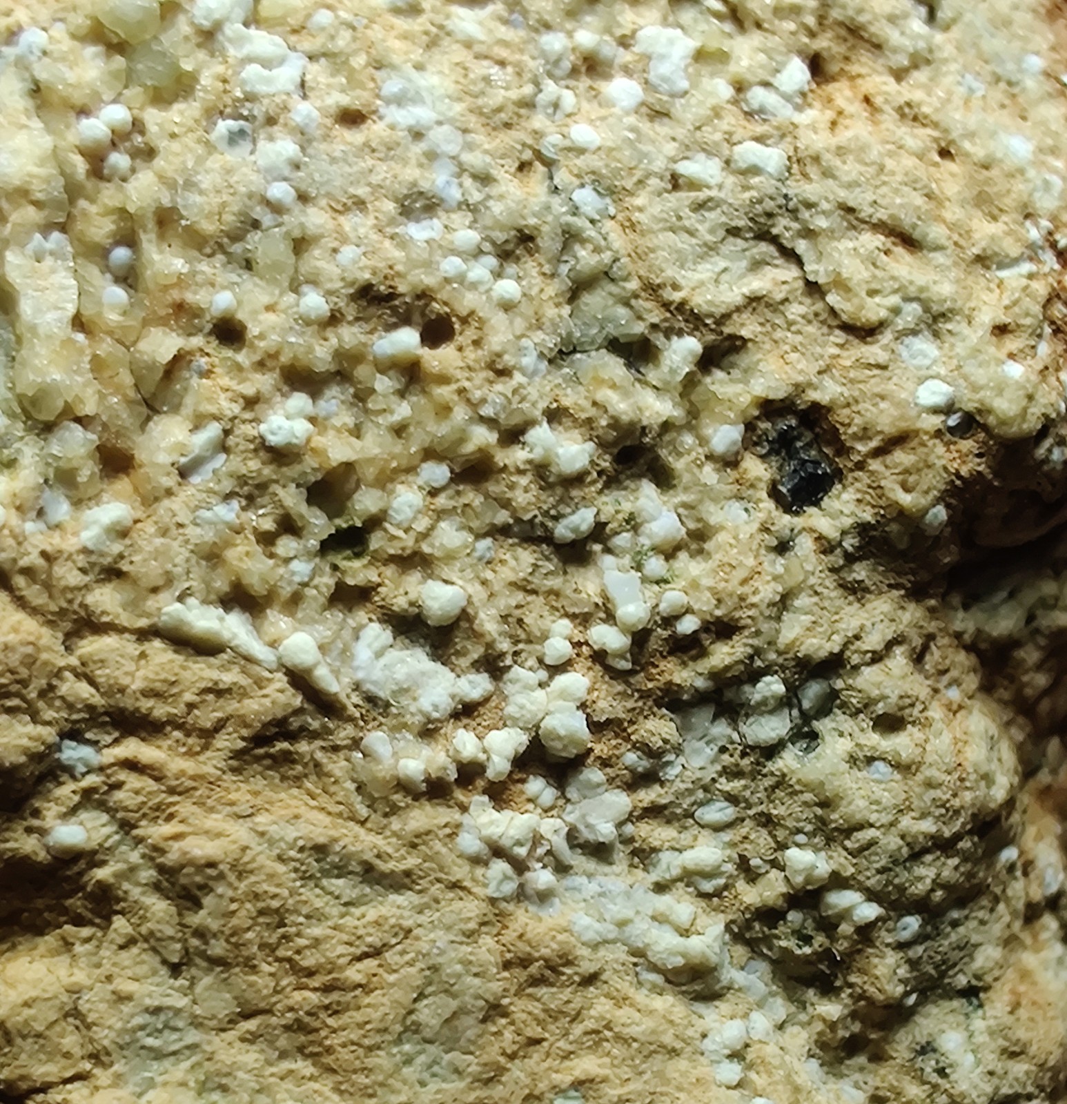 Opal on Sepentine with Magnetite, UV. San Benito, California. 213 grams.