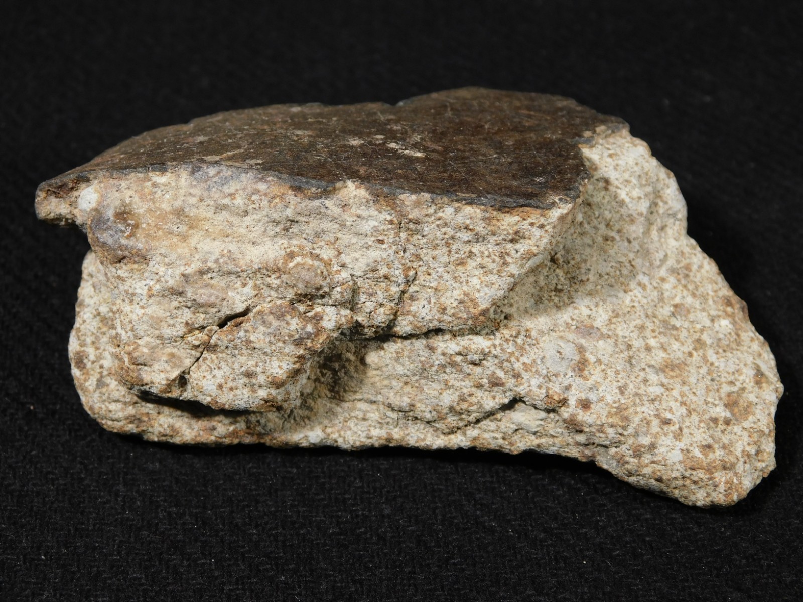 Larger! Classified NWA 8245 METEORITE 100% Natural! Erfoud, Morocco 184gr