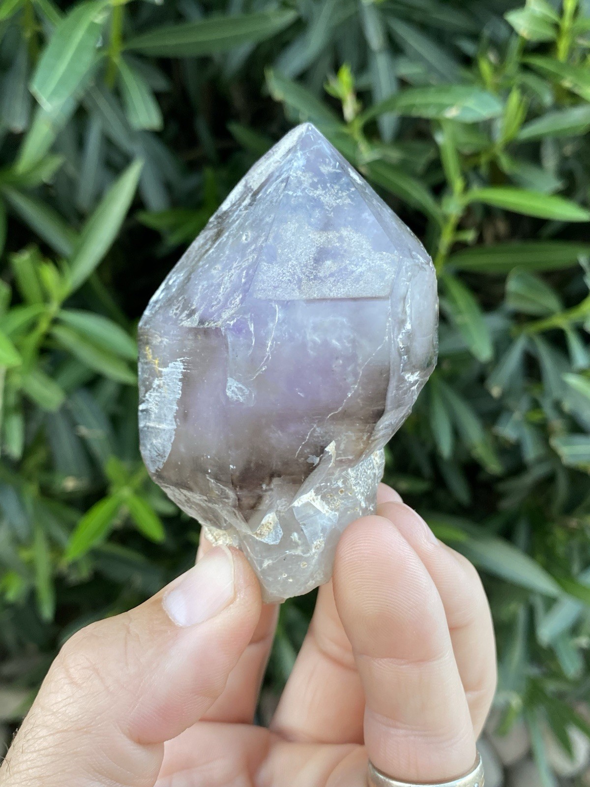 269 Gram Large Smoky Amethyst Scepter – Namibia, Africa