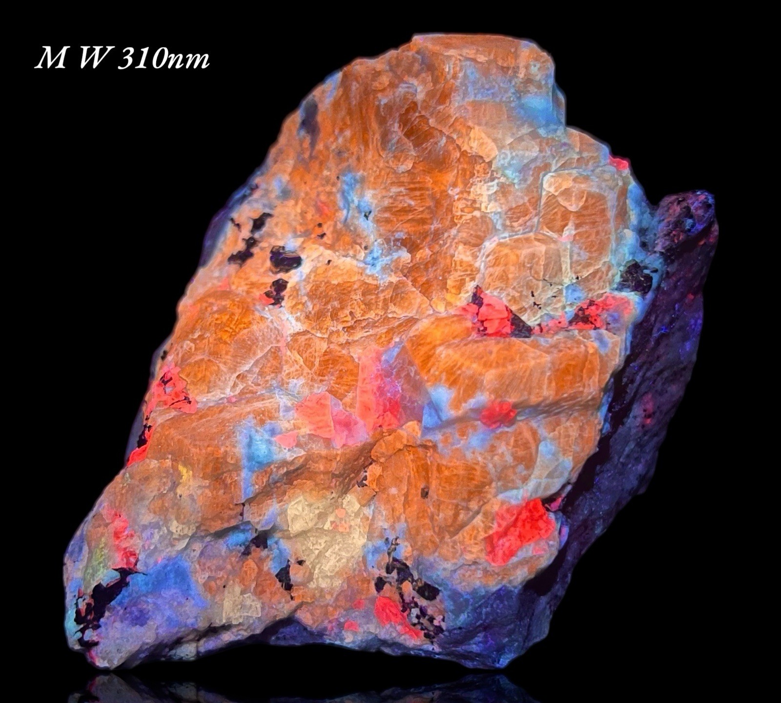 589 GM Sodalite W/ Hauyne, Marialite-Scapolite, Gonnardite, Calcite Fluorapatite