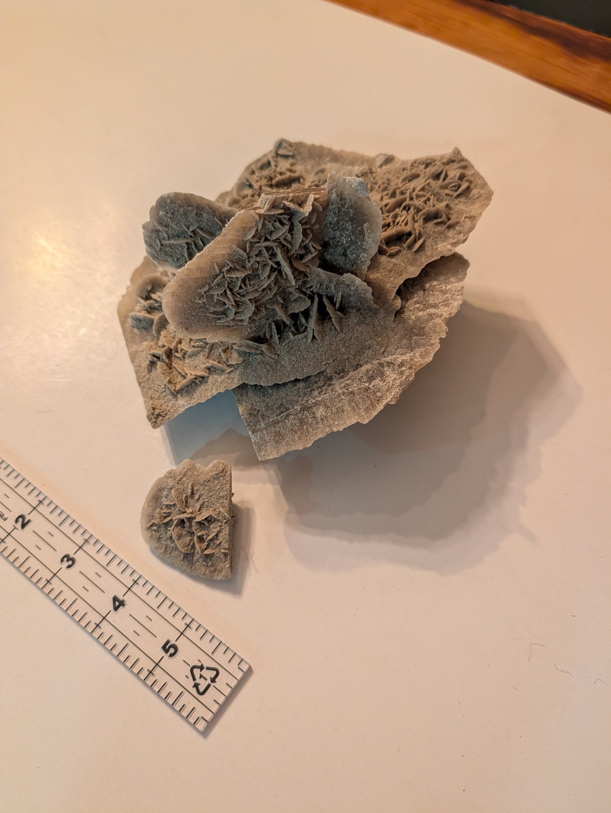 Large Desert Rose Selenite Gypsum Crystal Cluster Raw Mineral Specimen