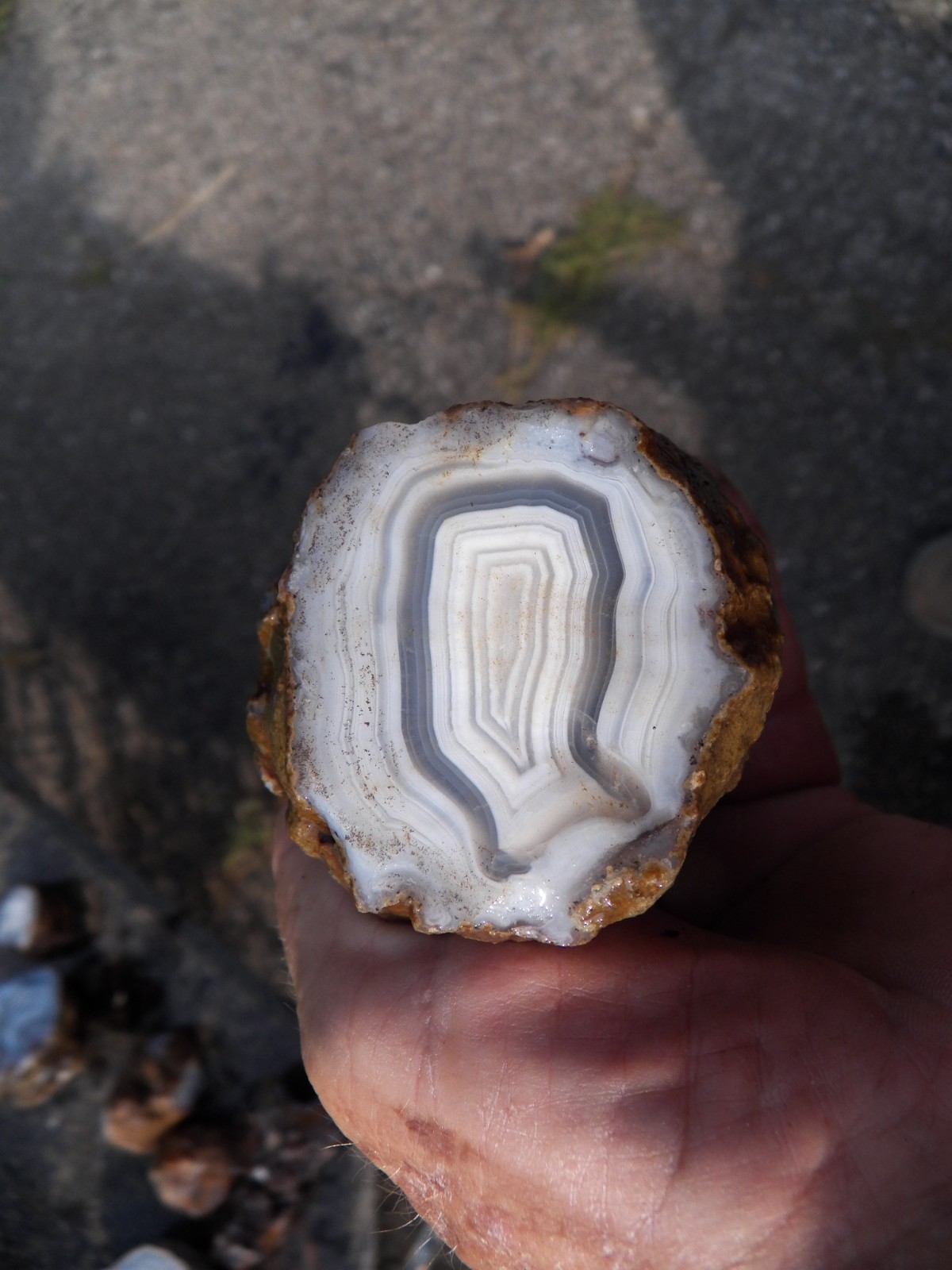 1 lb Agouim High Atlas Morocco agate slabber specimen rough good pattern color