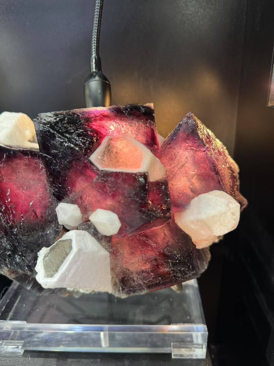 13.5LB Museum level Seven Colored Fluorite and White Crystal Symbiotic Specimen