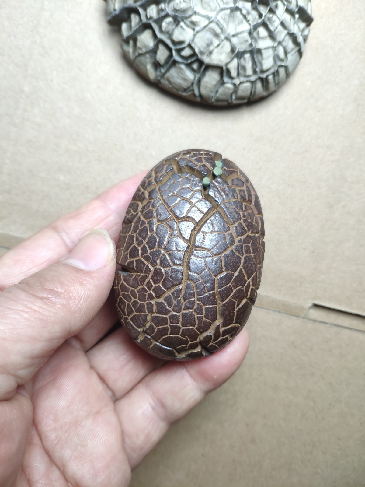182g beautiful tortoise back pattern stone Turtle grain stone Landscape stone
