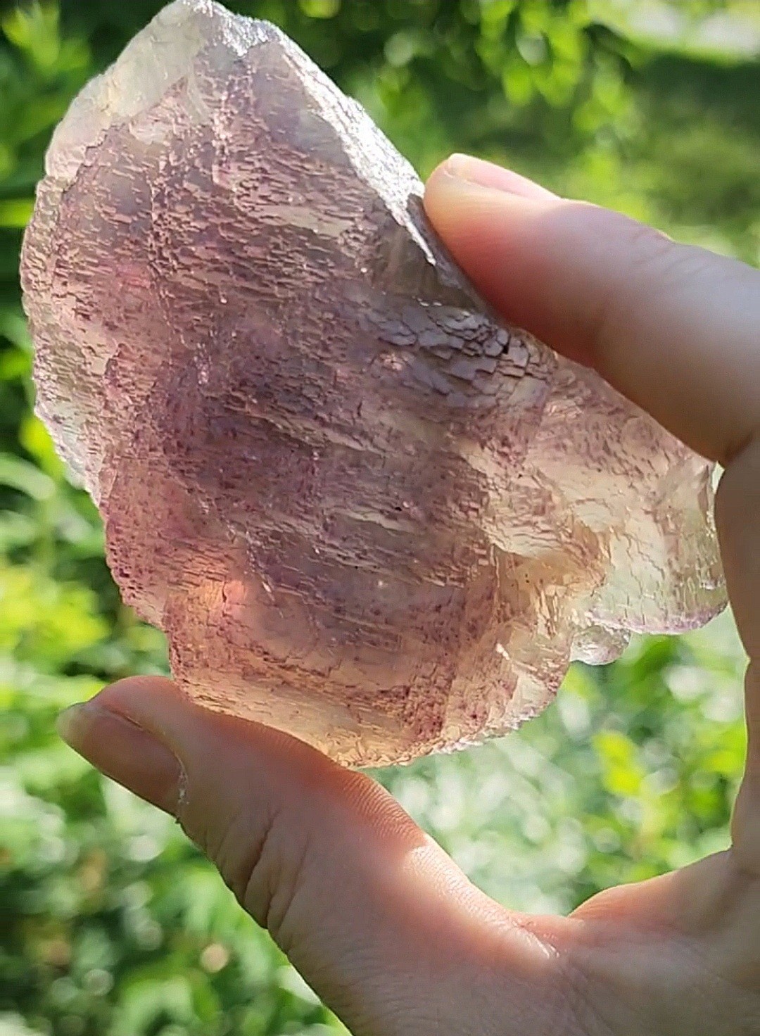 ✨️Terraced tricolor fluorite with chevron zoning Qinglong Mine, China✨️