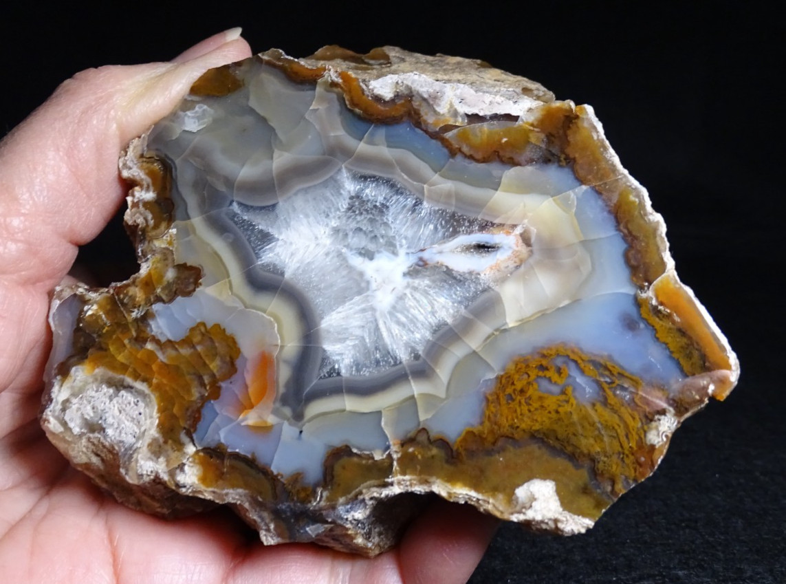 Turkish Agate Half Nodule Collector Specimen Turkey