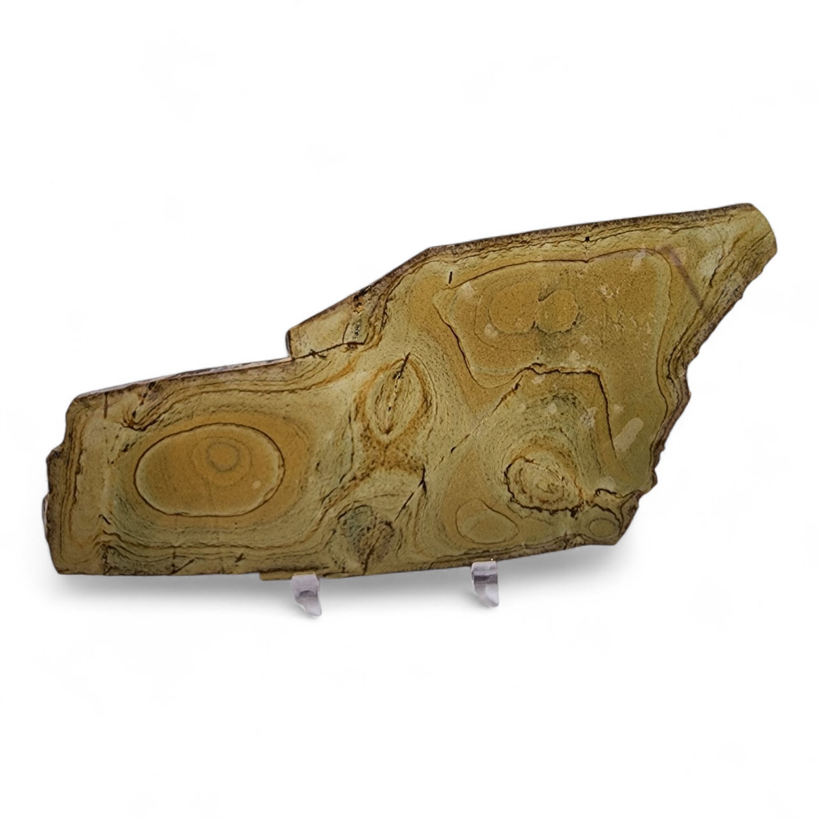 Picture Jasper Slab 52.1 grams. Lapidary or Display