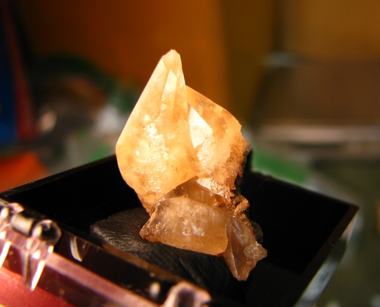 GOLDEN DOGTOOTH CALCITE CLUSTER THUMBNAIL IN CASE MARBLEHEAD QUARRY OHIO #224