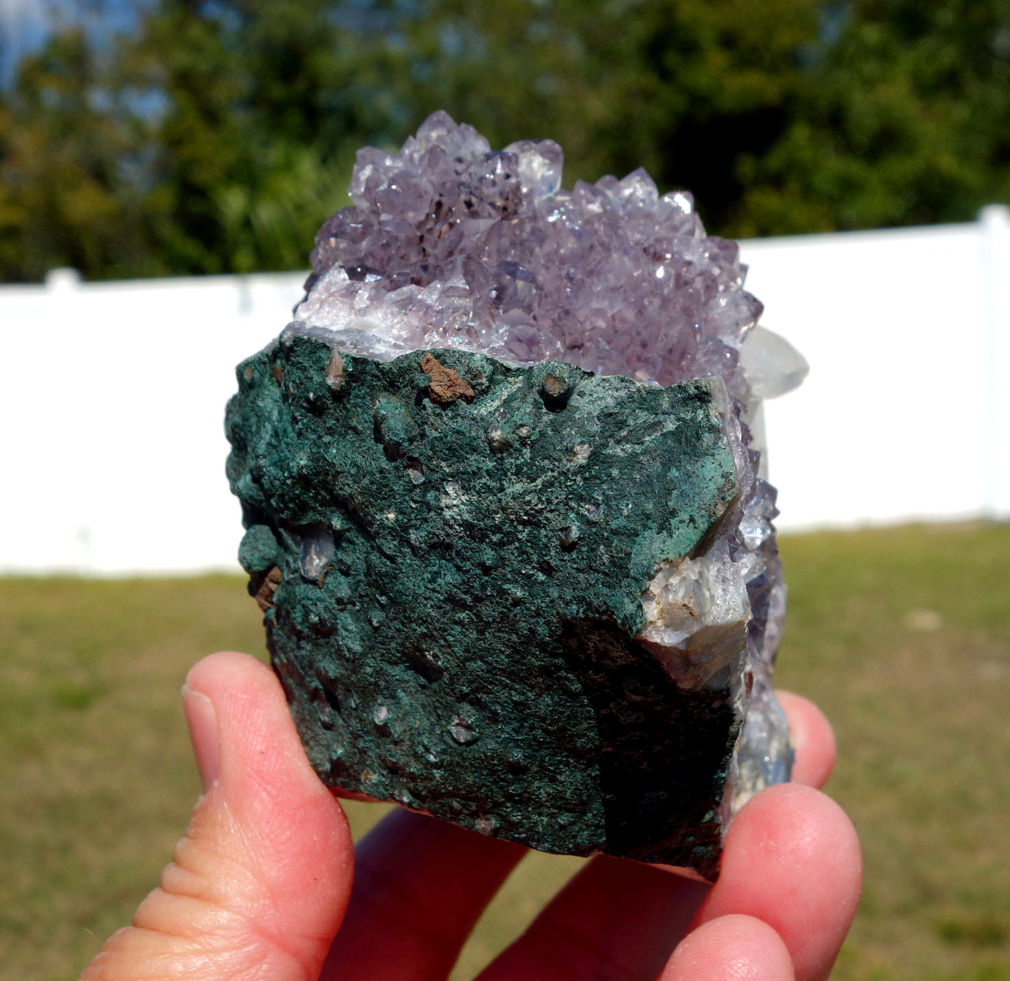 White DOGTOOTH Calcite in AMETHYST Crystal Point Stalactite Quartz Cluster