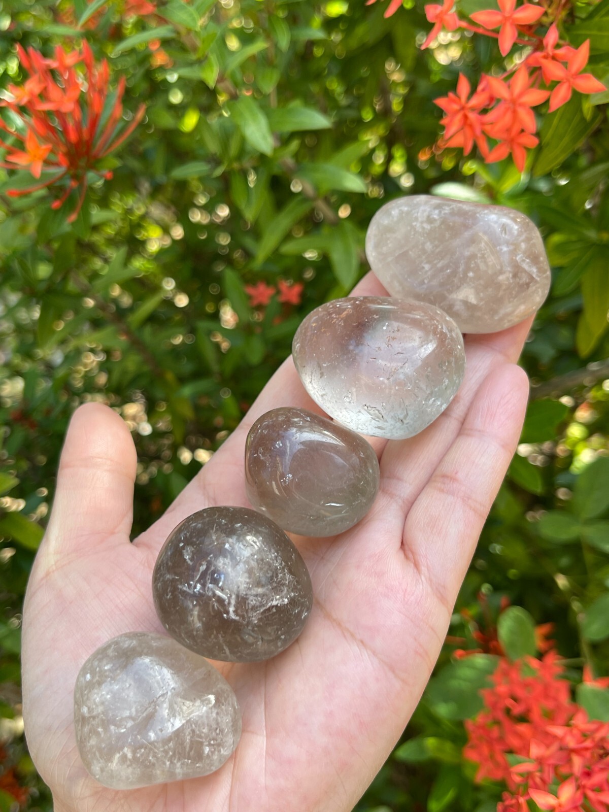 Smoky Quartz Pebble, 1-2 Inches Large Tumbled Smoky Quartz, Pick How Many