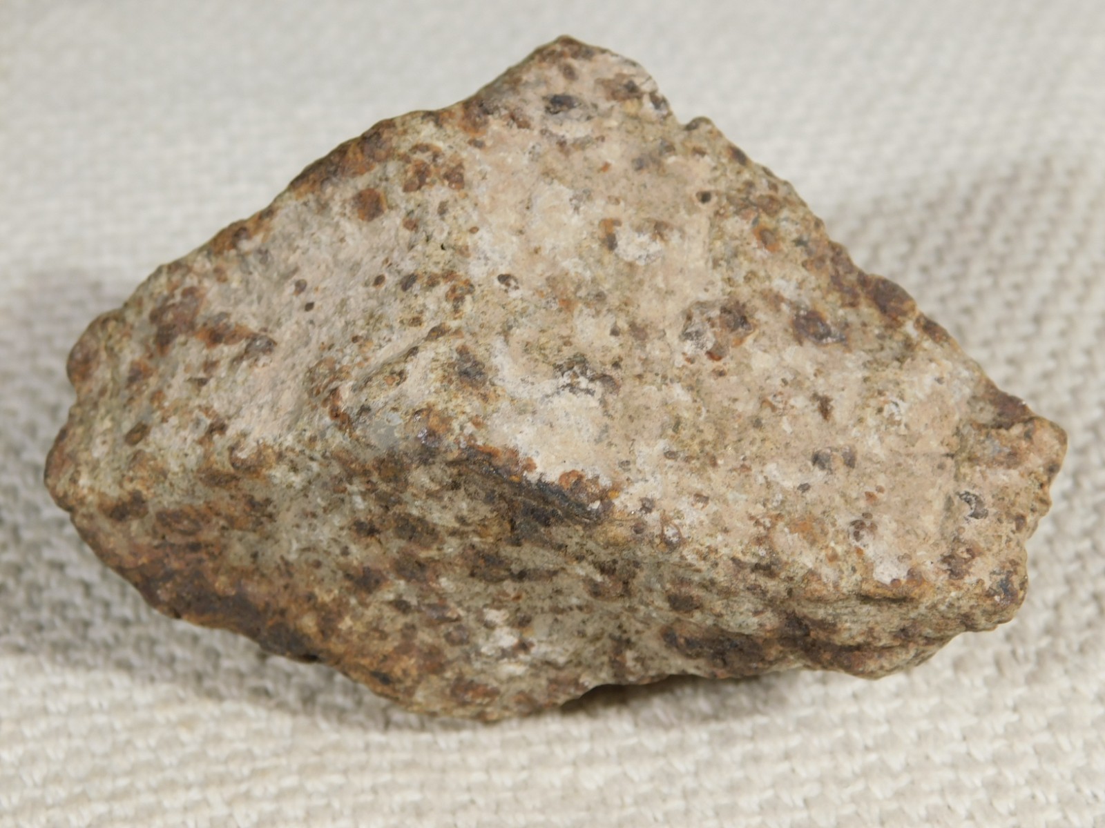Larger! Classified NWA 8245 METEORITE 100% Natural! Erfoud, Morocco 223gr