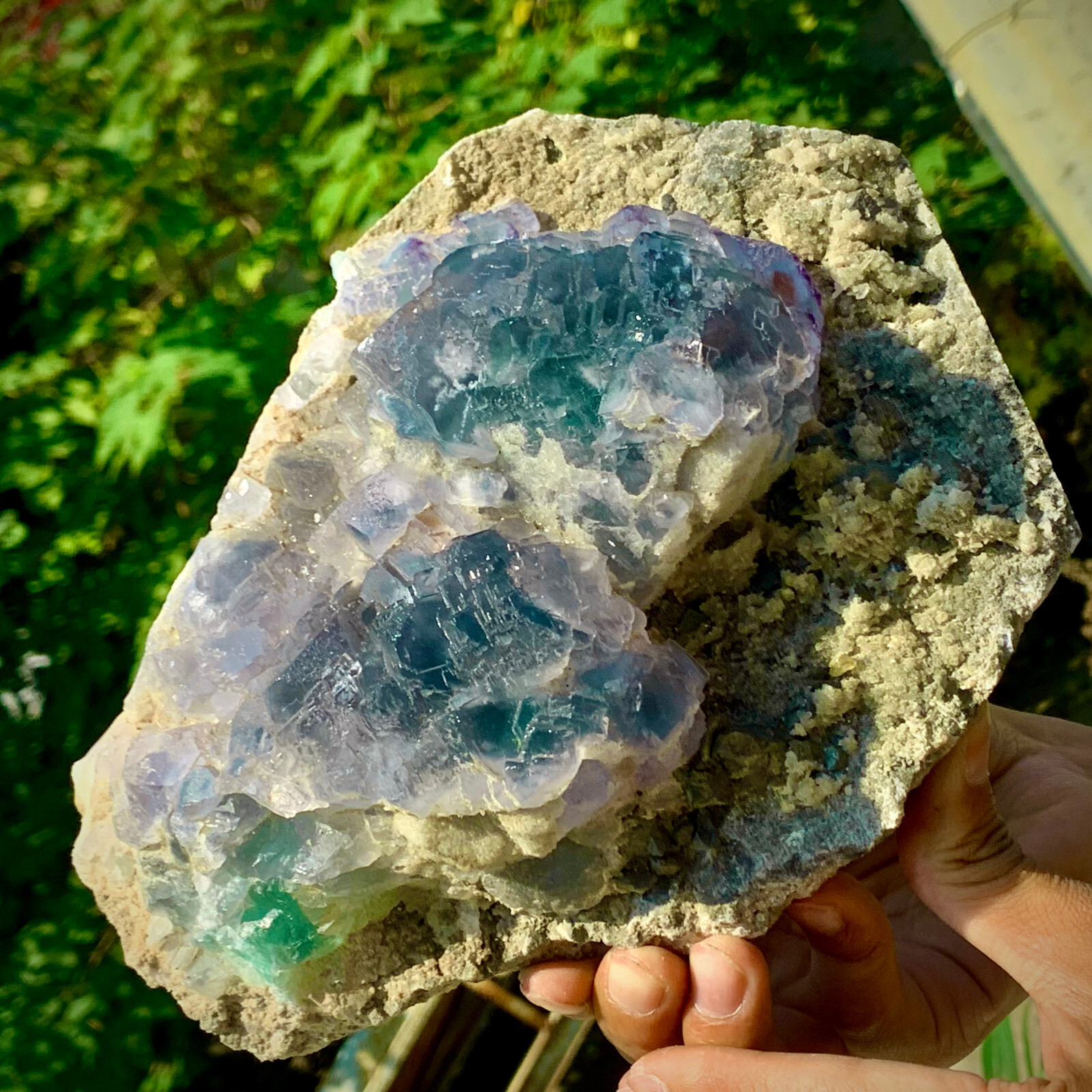 5LB pound rare transparent blue cubic fluorite mineral crystal sample/China-