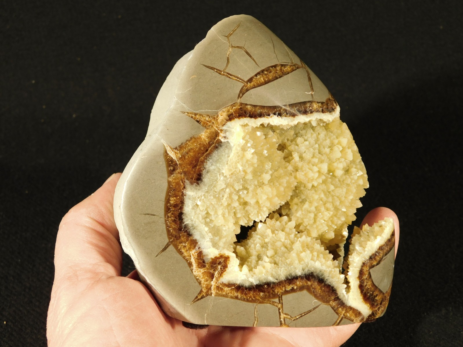 Big Polished AAA Crystal Filled Hollow Septarian GEODE Free Form Utah 1044gr