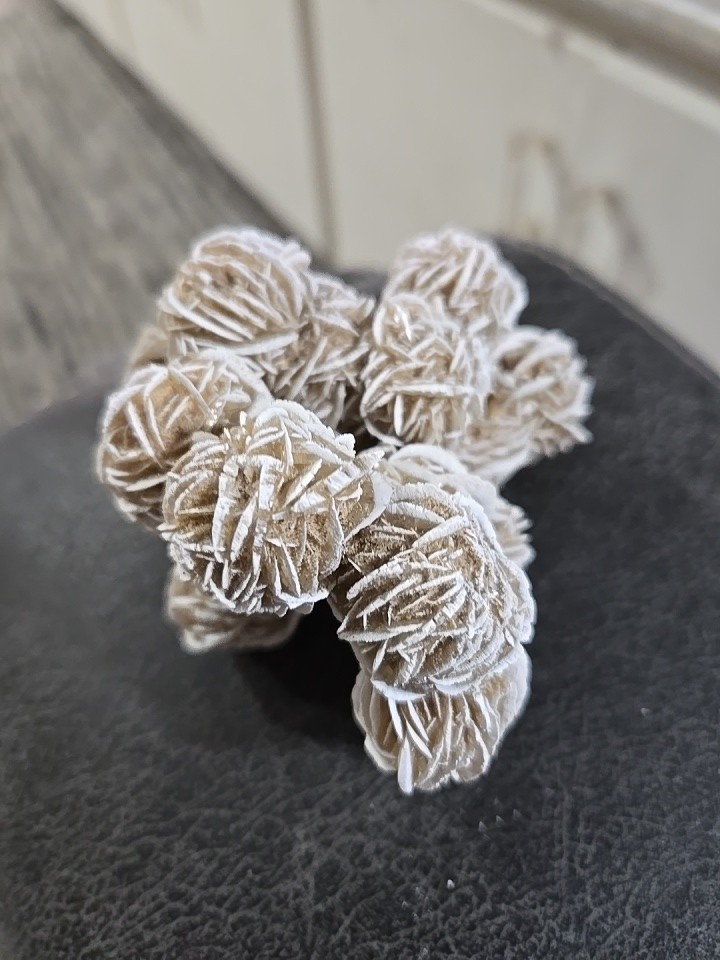 DESERT ROSE SELENITE Gypsum Cluster, A4