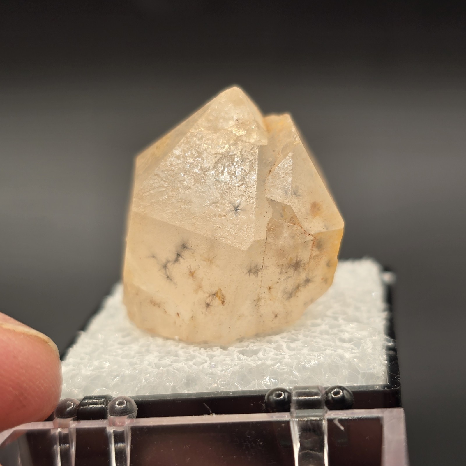 Hollandite Spider Quartz Point Crystal Madagascar Gemstone Specimen in Perky Box