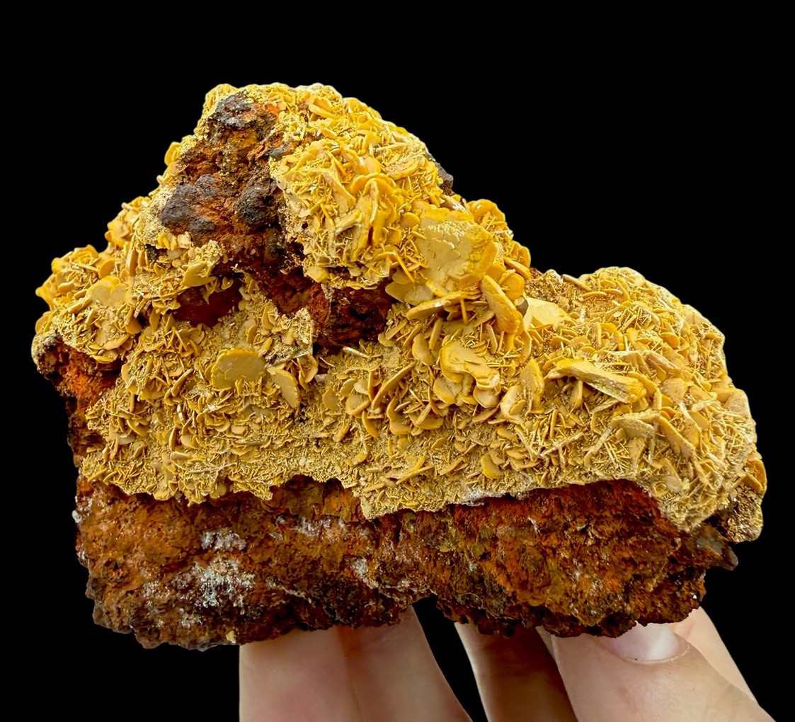 Wulfenite Crystals: Stefanie Mine . Bad Bleiberg . Carinthia , Austria 🇦🇹