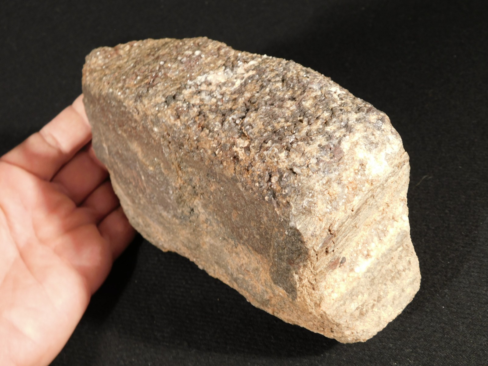 Big! Petrified Wood Fossil With SMOKY Quartz CRYSTALS Utah 2362gr